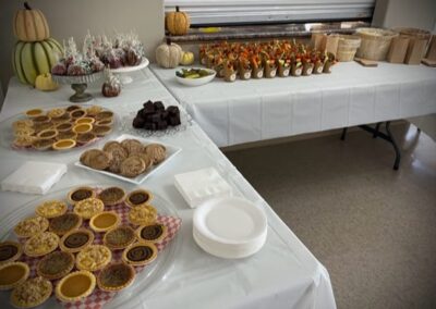 Image of catered food on display for a baby shower in Winchester, Ontario. Includes a selection of tarts, chocolate-covered apples, cookies, and vegetable kabobs.
